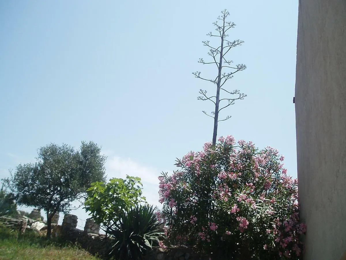 Apartment 4M Čunski
