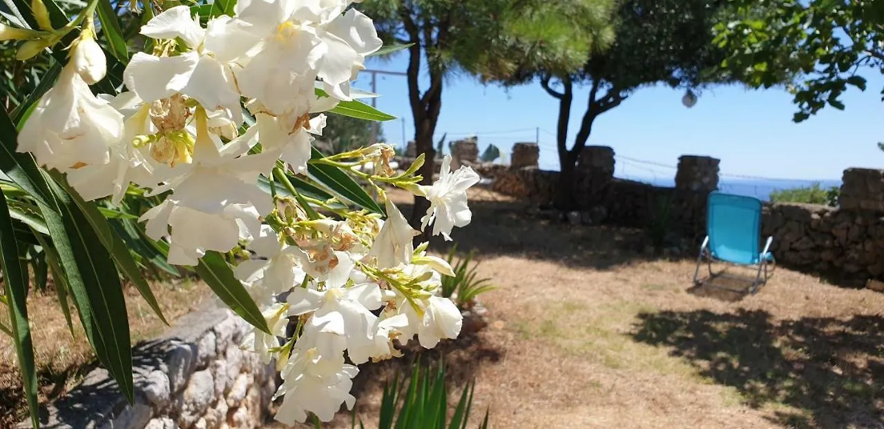 Apartment 4M Čunski Croacia